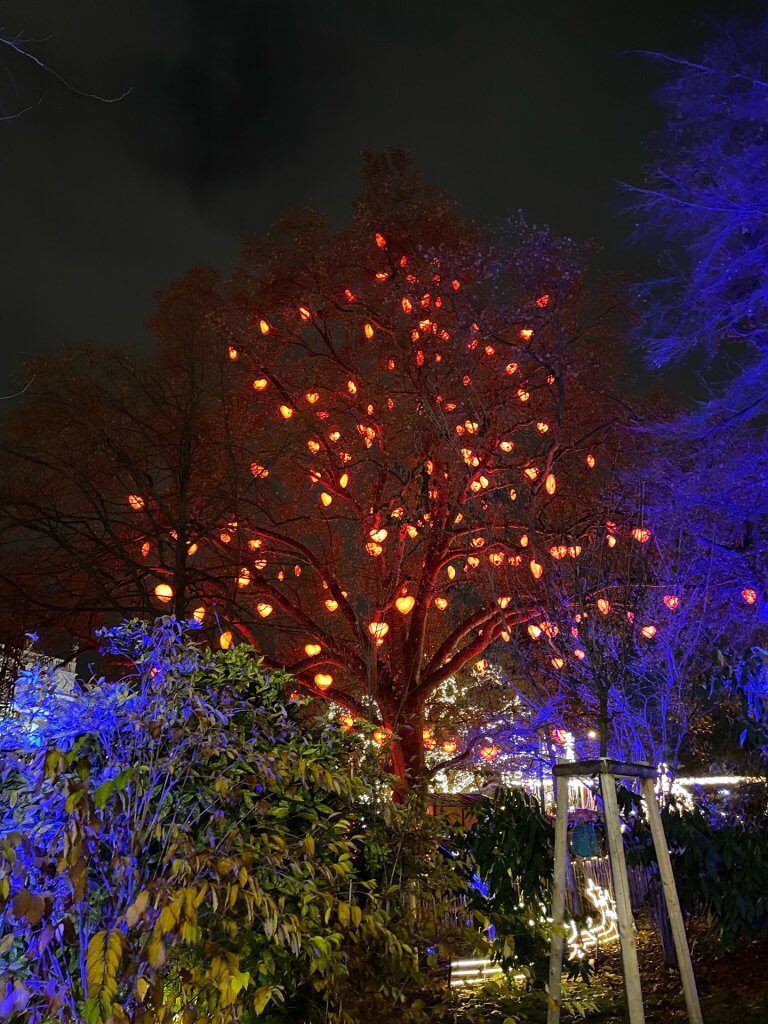 Unsere KLIXPERT.io Weihnachtsfeier 2023 in Wien - Christkindlmarkt Rathausplatz